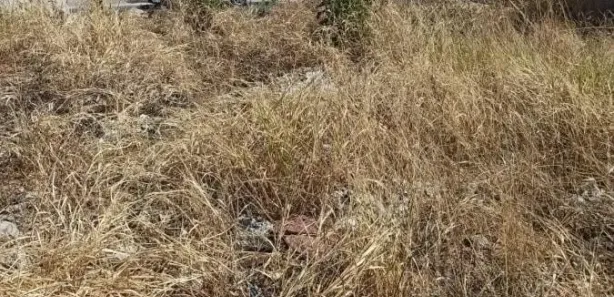 Lote/Terreno à venda, 360m² no Serra Dourada, Vespasiano