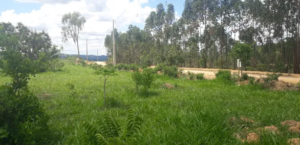Lote/Terreno à venda, 20000m² no , Paraopeba