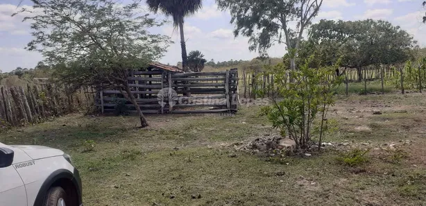 Fazenda/Sítio com 3 Quartos à venda, 10m² no , José de Freitas