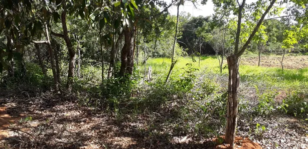 Lote/Terreno à venda, 20000m² no , Araçaí