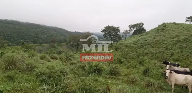 Fazenda/Sítio à venda, 484000m² no , Jaraguá