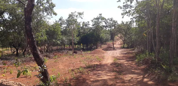 Lote/Terreno à venda, 20000m² no Cordisburgo, Cordisburgo