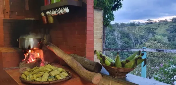 Fazenda/Sítio com 3 Quartos à venda, 3024000m² no , Anápolis
