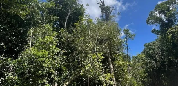 Lote/Terreno à venda, 5000m² no Trancoso, Porto Seguro
