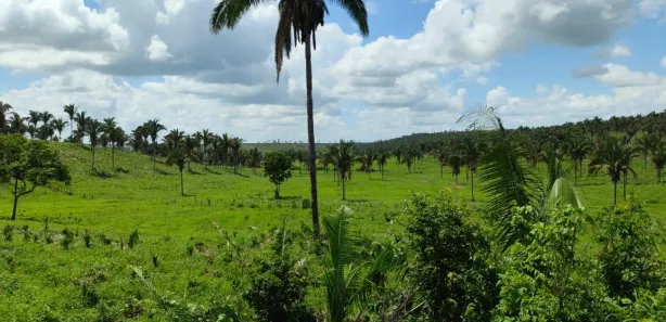Fazenda/Sítio com 3 Quartos à venda, 1400m² no Zona Rural, Coroatá