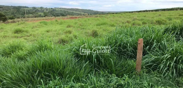 Fazenda/Sítio à venda, 48400m² no , Leopoldo de Bulhões