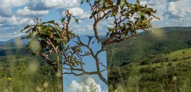 Lote/Terreno à venda, 20000m² no Lagoa Mansões, Lagoa Santa