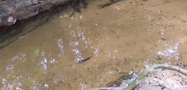 Fazenda/Sítio à venda, 385000m² no Palmital de Minas, Cabeceira Grande