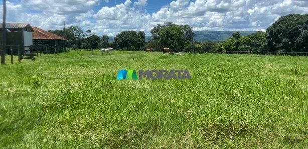 Fazenda/Sítio com 1 Quarto à venda, 1300m² no , Buritis