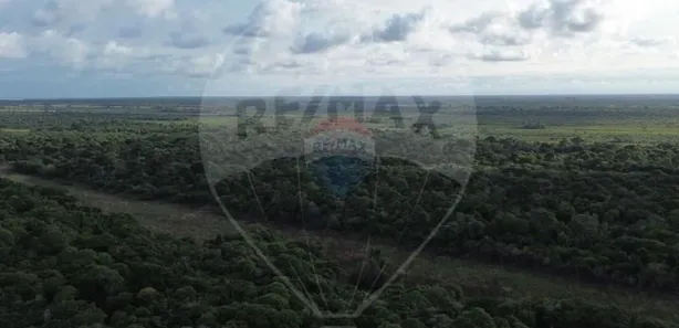Fazenda/Sítio à venda, 7000000m² no Centro, 