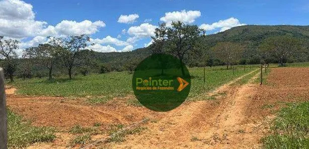 Fazenda/Sítio à venda, 480000m² no , Buritis