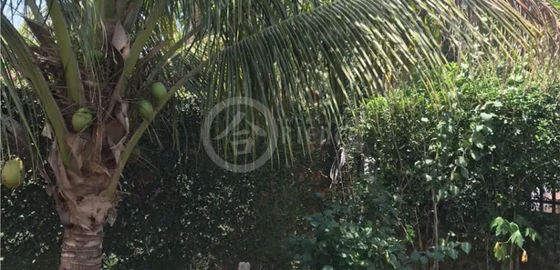 Casa de Condomínio com 3 Quartos à venda, 270m² no Plano Diretor Norte, Palmas