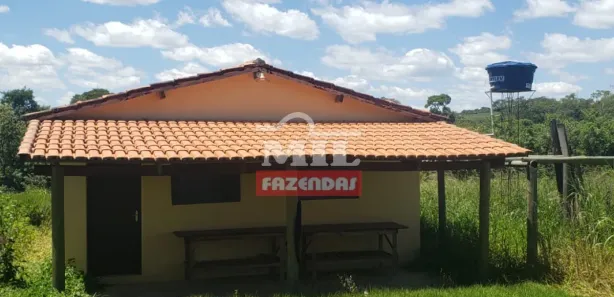 Fazenda/Sítio à venda, 20000m² no , Silvânia