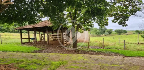 Fazenda/Sítio à venda, 235m² no , Nerópolis