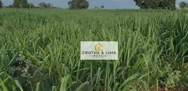 Fazenda/Sítio com 5 Quartos à venda, 800m² no Padre Bernardo, Padre Bernardo