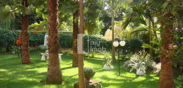 Fazenda/Sítio com 3 Quartos à venda, 190m² no , Leopoldo de Bulhões
