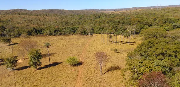 Fazenda/Sítio à venda, 20000m² no , Brasília