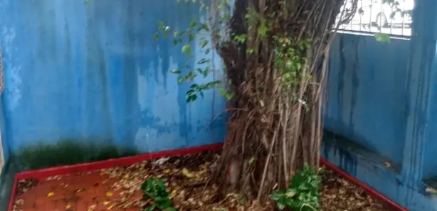 Casa com 4 Quartos à venda, 300m² no Roma, Salvador
