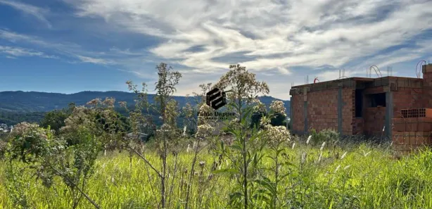 Lote/Terreno à venda, 342m² no Alto Vila Rosa, Dois Irmãos