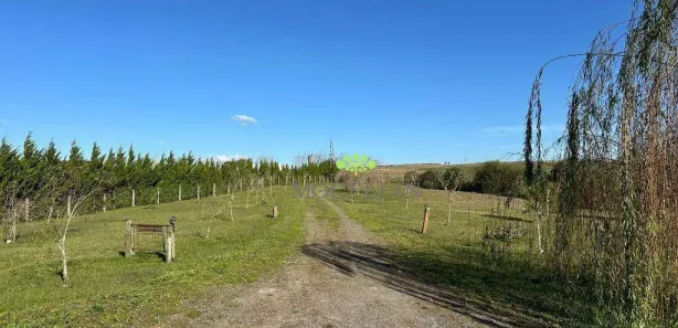 Fazenda/Sítio com 3 Quartos para venda ou aluguel, 559m² no , Balsa Nova
