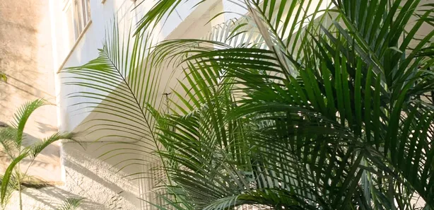 Casa com 3 Quartos à venda, 166m² no Jardim Botânico, Rio de Janeiro