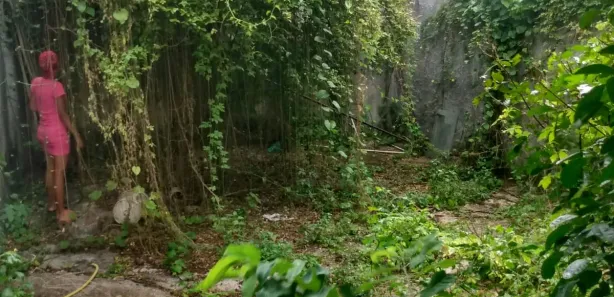Casa com 4 Quartos à venda, 300m² no Roma, Salvador