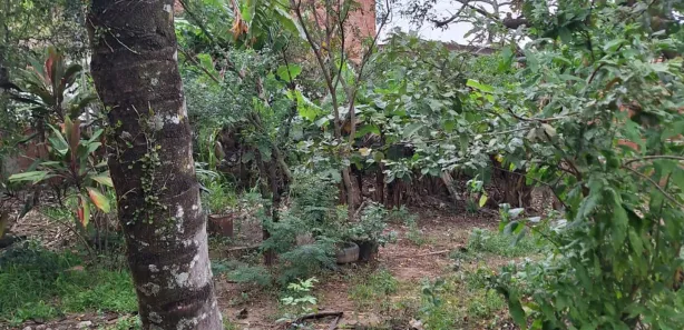 Fazenda/Sítio com 3 Quartos à venda, 156m² no Campo Grande, Rio de Janeiro