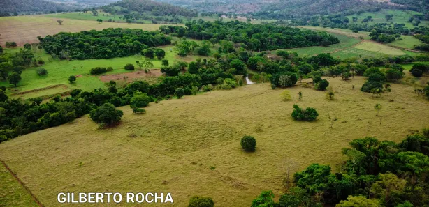 Fazenda/Sítio à venda, 1452000m² no Área Rural, Goianira