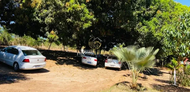 Fazenda/Sítio com 3 Quartos à venda, 8088m² no , São Luiz do Norte