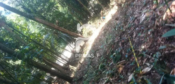 Lote/Terreno à venda, 1650m² no Balneario Praia do Perequê, Guarujá