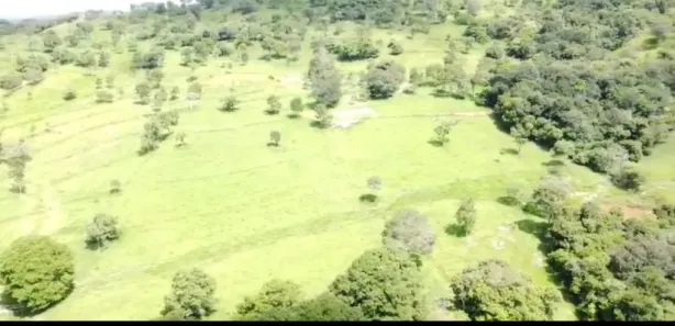Fazenda/Sítio à venda no Vila São José, Inhumas