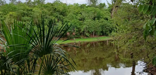 Fazenda/Sítio com 2 Quartos à venda, 13m² no , Aparecida do Rio Negro