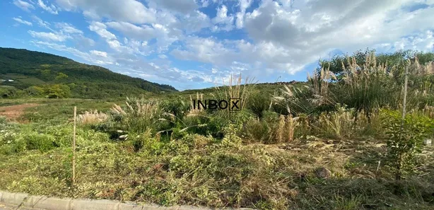 Lote/Terreno à venda, 275m² no Cruzeiro, Caxias do Sul