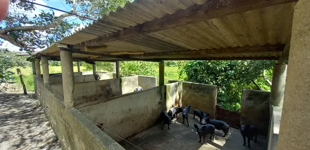 Fazenda/Sítio com 3 Quartos à venda, 250000m² no , Silvânia