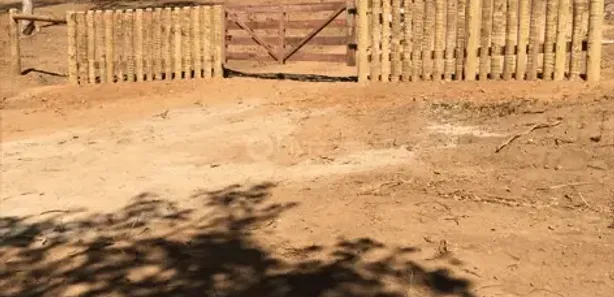 Fazenda/Sítio com 2 Quartos à venda, 110m² no , Bonfinópolis