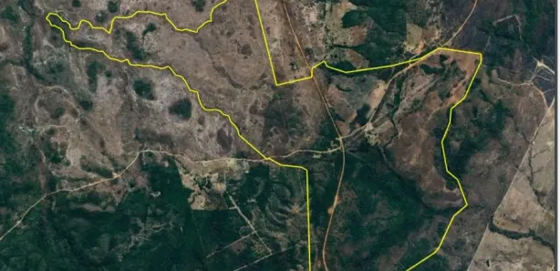 Fazenda/Sítio com 8 Quartos à venda, 4382000m² no , Dianópolis