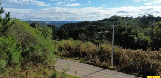 Lote/Terreno à venda, 613m² no Linha Olinda, Nova Petrópolis