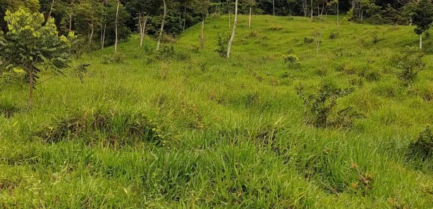 Lote/Terreno à venda, 4500m² no Comunidade Urbana de Jaboti, Guarapari
