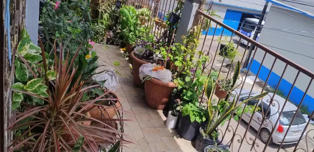 Casa com 6 Quartos à venda, 200m² no Alvorada, Manaus