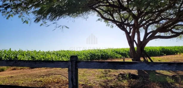 Fazenda/Sítio com 3 Quartos à venda, 37m² no Centro, Avaí