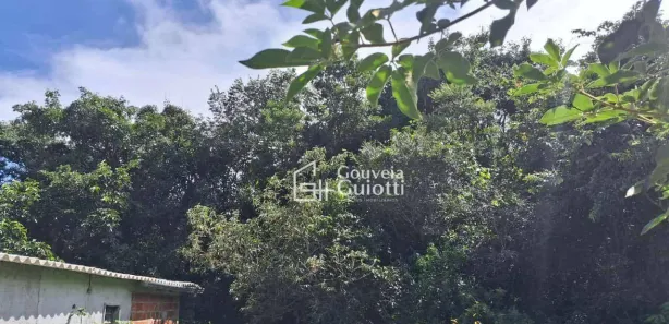 Fazenda/Sítio com 2 Quartos à venda, 50m² no , Leopoldo de Bulhões