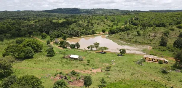 Fazenda/Sítio com 5 Quartos à venda, 37m² no , Goiás