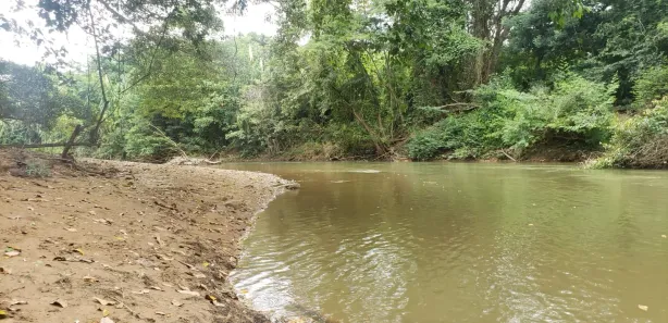 Fazenda/Sítio à venda, 690m² no , Padre Bernardo