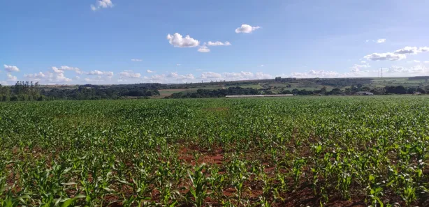 Fazenda/Sítio com 3 Quartos à venda, 280000m² no Taquara, Brasília