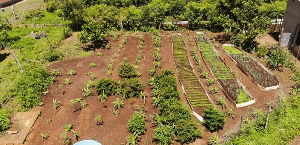 Fazenda/Sítio com 3 Quartos à venda, 124000000m² no Centro, Campo Maior