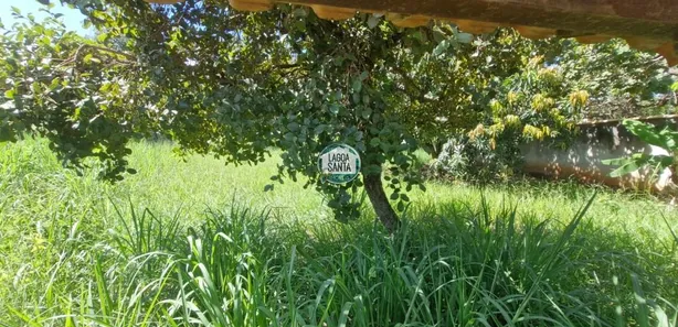 Lote/Terreno à venda, 1000m² no Lagoa Mansões, Lagoa Santa