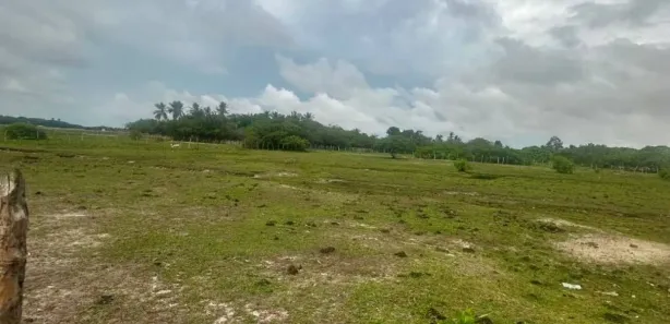 Lote/Terreno à venda, 4460m² no , Santo Amaro do Maranhão