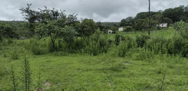 Lote/Terreno à venda, 20000m² no Zona Rural, Fortuna de Minas