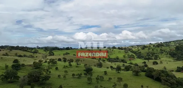 Fazenda/Sítio à venda, 20000m² no Vila Mutirão, Inhumas
