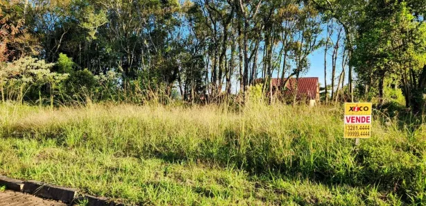 Lote/Terreno à venda, 456m² no Nova Petrópolis, Nova Petrópolis